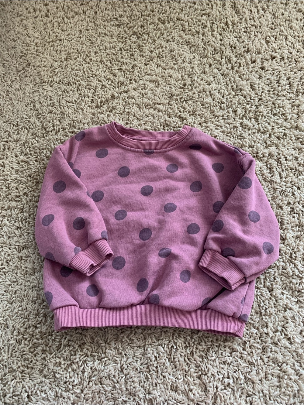 Zara Pink Polka Dot Sweatshirt